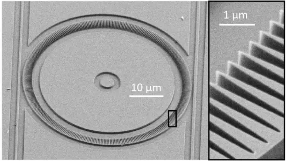 Scanning electron microscope image of a novel photonic microring with micron-scale gears patterned inside a larger circle. (Credit: Kartik Srinivasan/JQI)