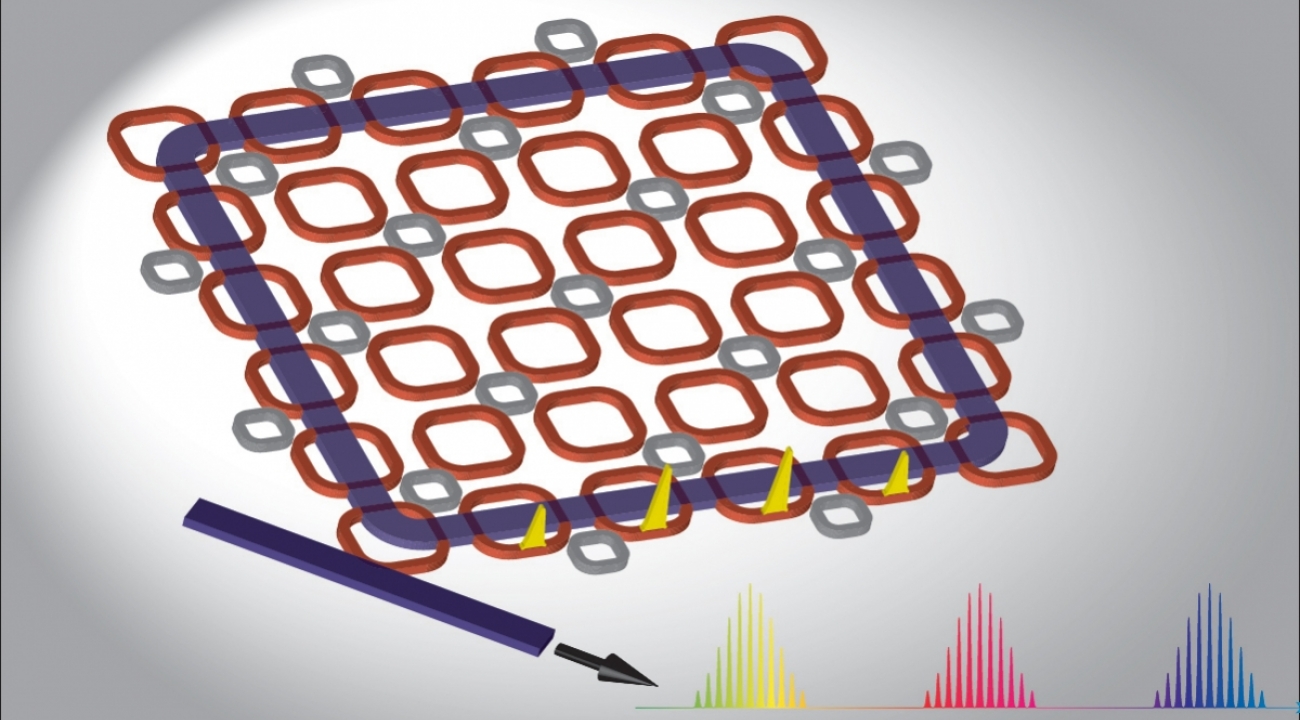 Rendering of a light-guiding lattice of micro-rings that researchers predict will create a highly efficient frequency comb. (Credit: S. Mittal/JQI)